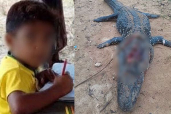 Criança foi morta por um jacaré e o animal abatido pelo pai dele. (Foto: Redes Sociais - Reprodução)