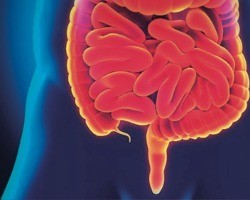 Doenças inflamatórias intestinais crescem quase 15% ao ano