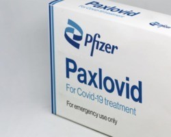 Paxlovid: saiba como irá funcionar o remédio autorizado para covid