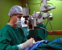Ministério da Saúde redefine lista de cirurgias prioritárias no SUS
