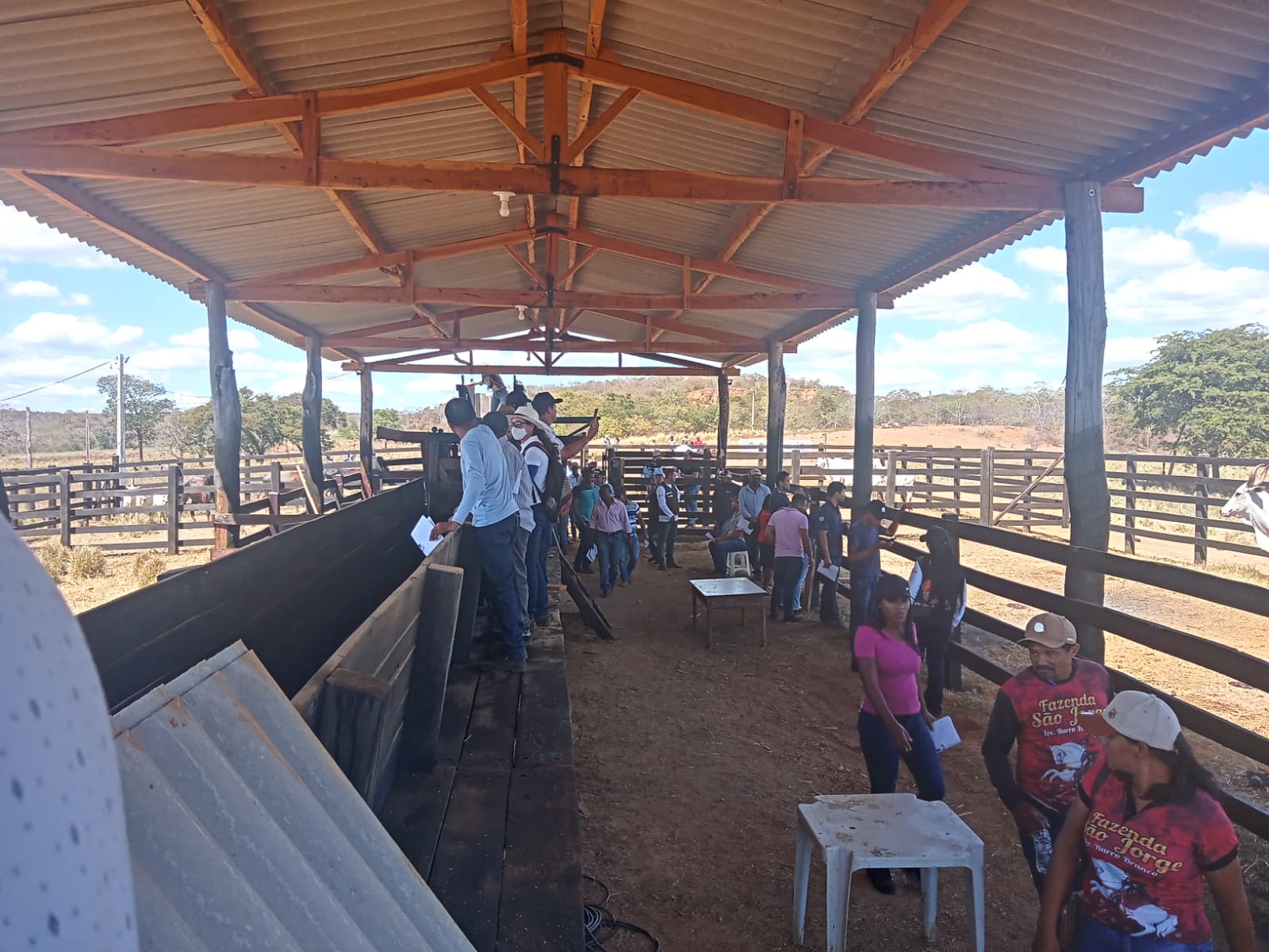 Dia de Campo na Fazenda Uberlândia em Parnaguá PI - Imagem 5