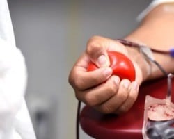 Dia Mundial do Doador de Sangue: apenas 1,4% dos brasileiros faz a doação