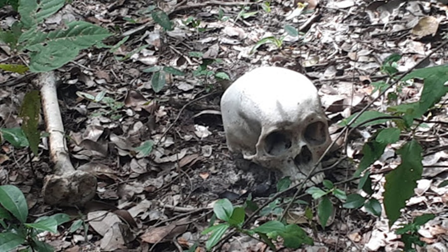 Ossada humana é encontrada em matagal próximo à Lagoa do Portinho - Foto: Portal do Catita