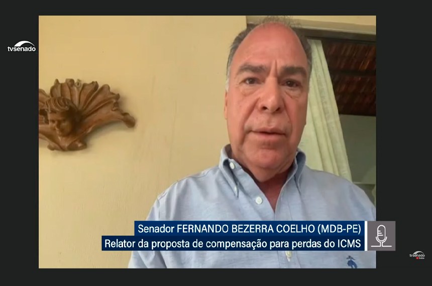 Senador Fernando Bezerra é o relator (Reprodução)