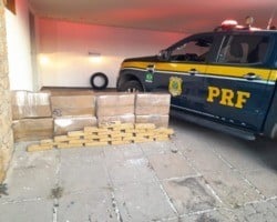 PRF apreende maconha e cocaína avaliadas em R$ 1,1 milhão em Teresina