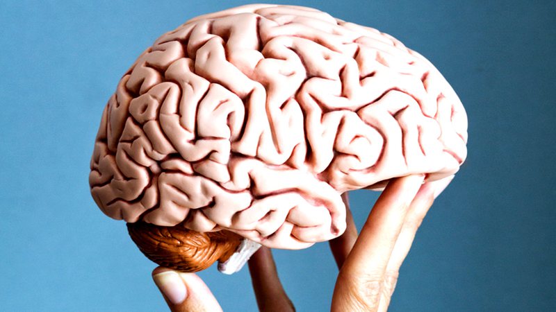 Cérebro é alvo de estudos com relação a Covid e seus impactos nas doenças degenerativas - Getty images