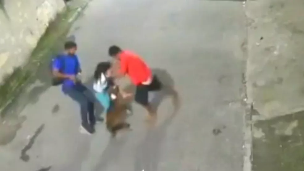 Menino de 10 anos foi atacado por pitbull