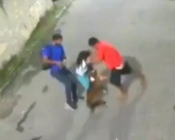 Criança é atacada por pitbull que foi abandonado na rua; imagem forte