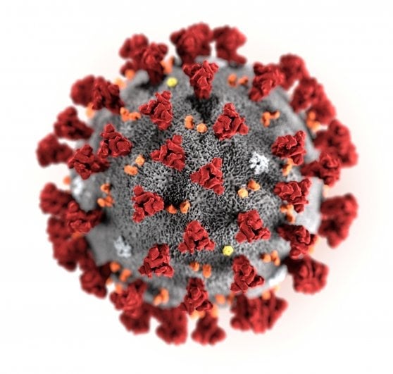 Coronavírus continuam circulando e atinge alguns grupos específicos com mais facilidade - reprodução