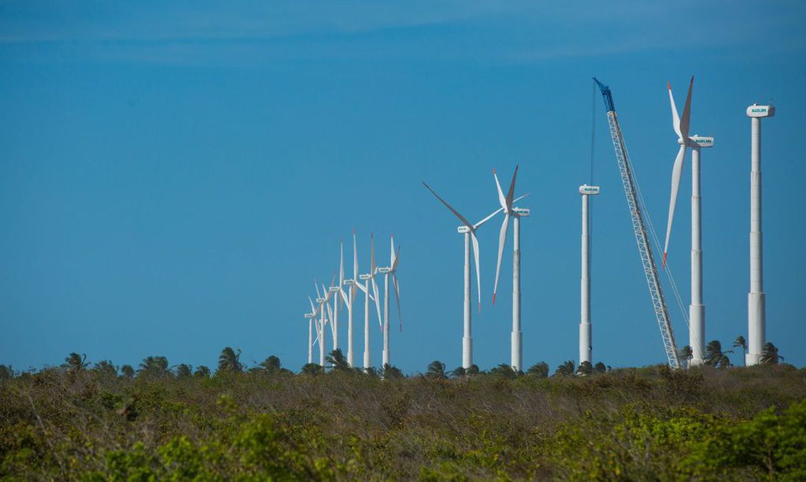 Piauí é uma potência nacional nas energias renováveis (Foto: Ari Versiani)
