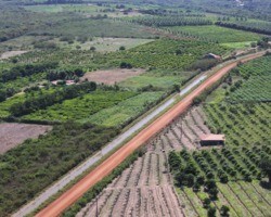 Editais para PPPs da irrigação no Piauí estão disponíveis; confira