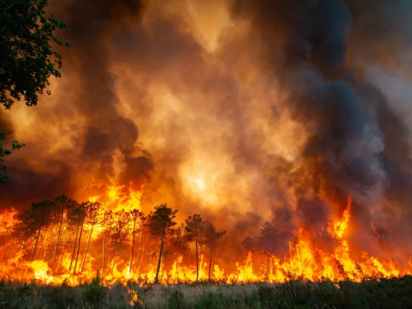 Onda de calor mata mais de 1.000 em Portugal e Espanha; Europa em chamas