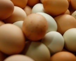 Preços disparam e ovos sobem mais de 200% acima da inflação
