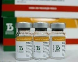 Butantan vai importar insumo para produzir doses da CoronaVac para crianças