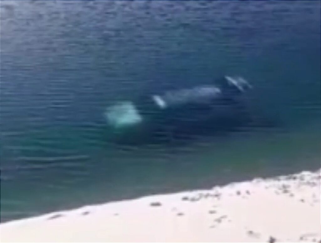 Veículo com turistas afunda em lagoa do Parque dos Lençóis Maranhenses- Foto: Reprodução