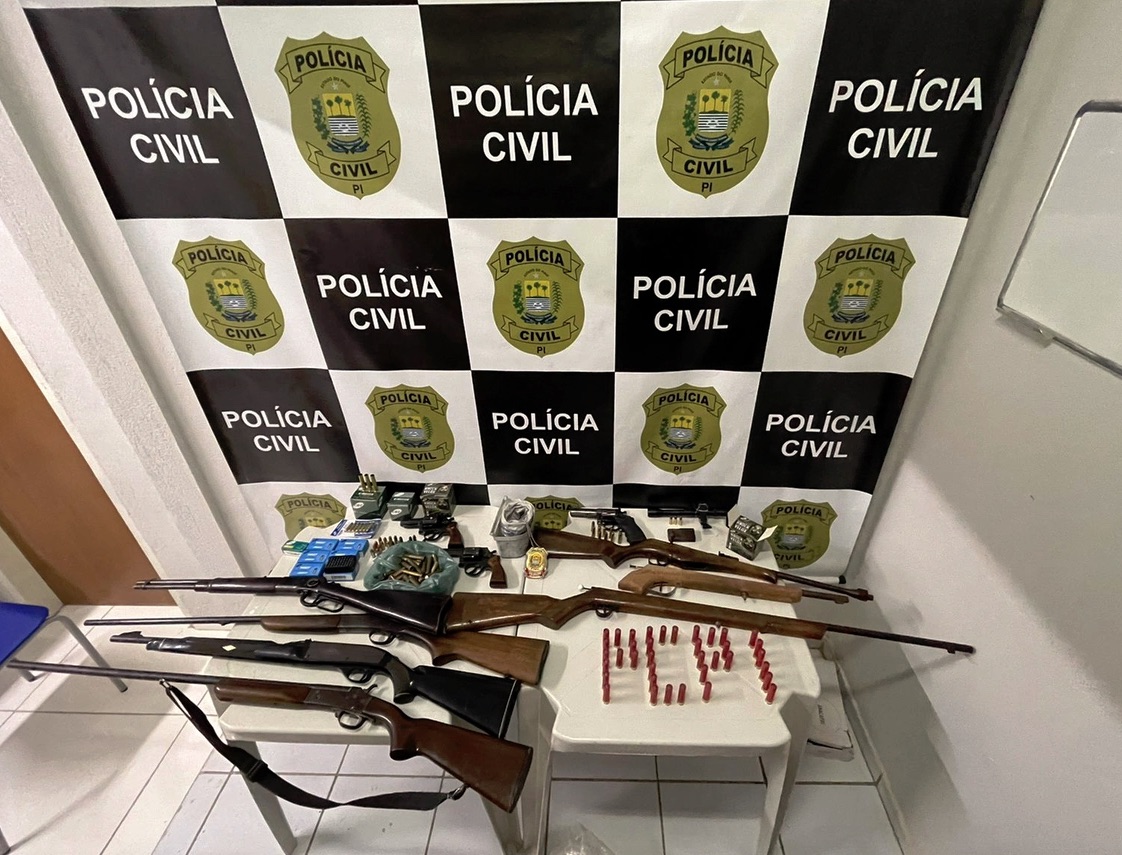 Armas apreendidas durante operação da Polícia Civil do Piauí - Foto: Divulgação