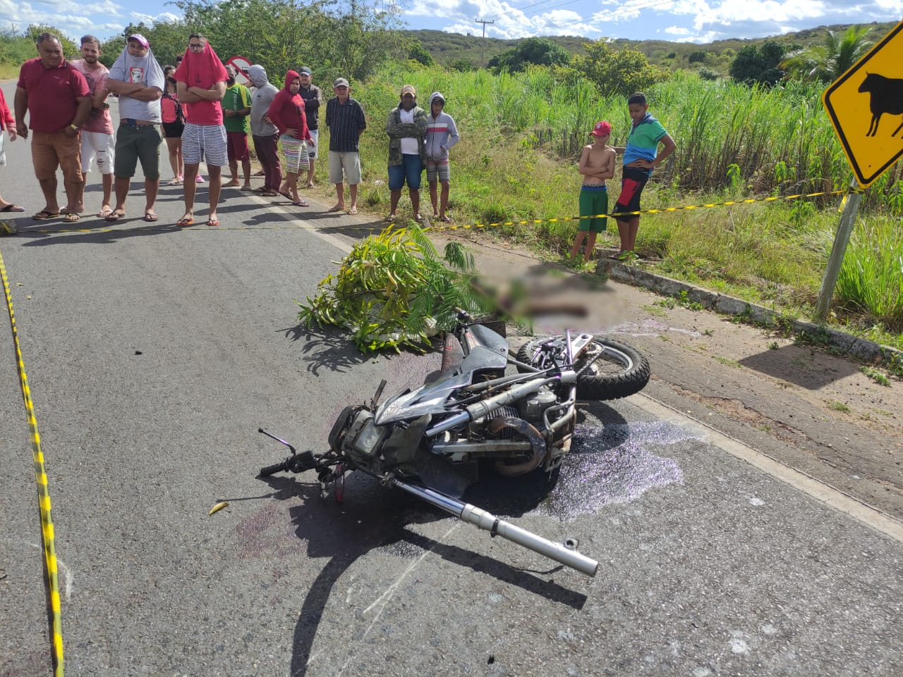 Motociclista morre após colidir na lateral de caminhão baú em Pedro II (Foto: Ronaldo Mota/ Rede MN)