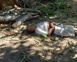 Homem morre após queda durante poda de árvore na zona Leste de Teresina