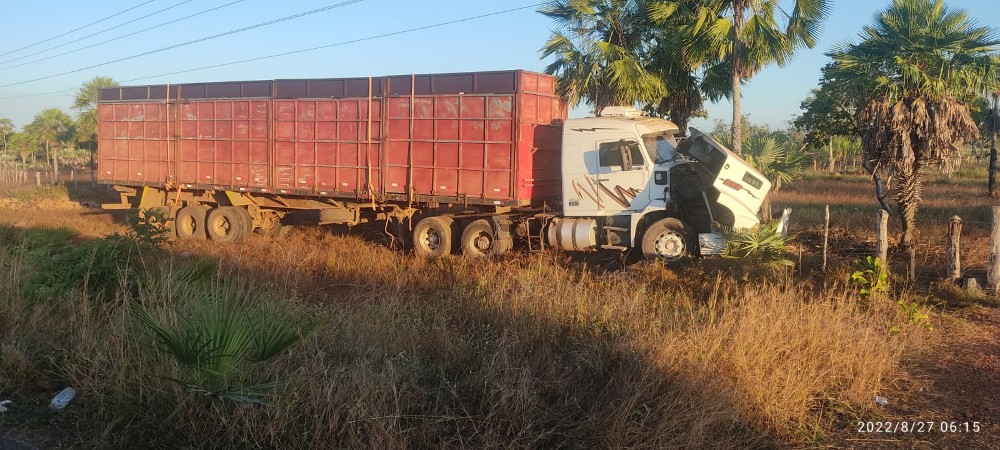 Carreta desceu a ribanceira e colidiu em uma palmeira - Foto: Reprodução/Longah