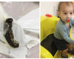 Bebê de sete meses passa mal e morre após engolir lagarta