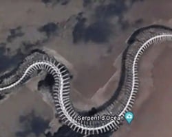 Esqueleto gigante de cobra é achado no Google Maps e gera polêmica