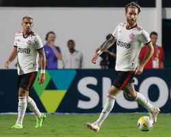 Flamengo fica no empate com Goiás e distância para o Palmeiras aumenta