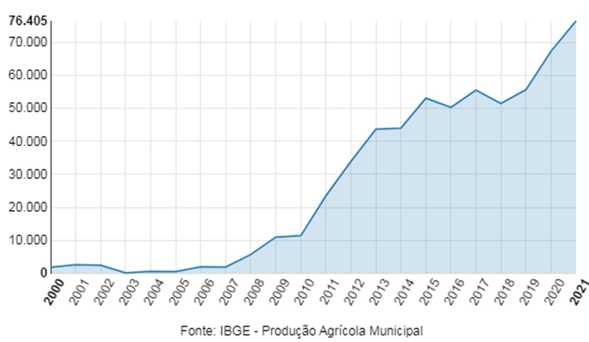 Piauí possui seis municípios entre os 100 maiores produtores de milho - Foto: Ascom