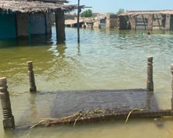 Doenças transmitidas por enchentes no Paquistão matam nove pessoas