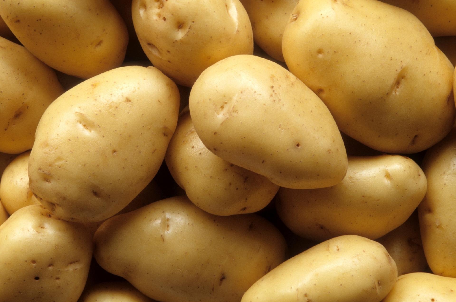 Batatas podem absorver sinal de Wi-Fi 