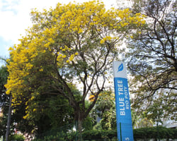 Micarina Meio Norte: Blue Tree Rio Poty está com 80% das reservas 