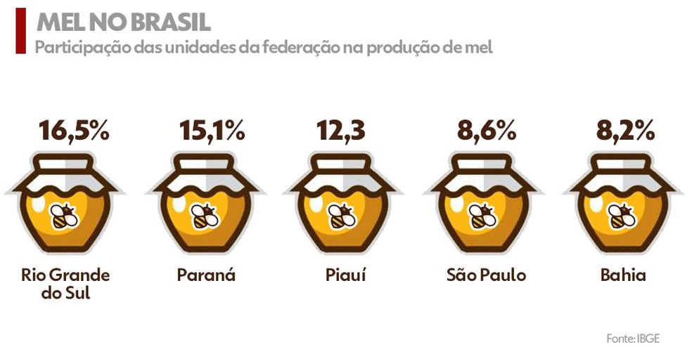 Município de Itainópolis-PI é o 3° maior produtor de mel do Piauí em 2021  - Imagem 2