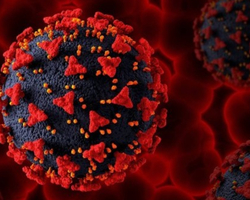 Khosta-2: vírus semelhante ao da Covid-19 é descoberto na Rússia