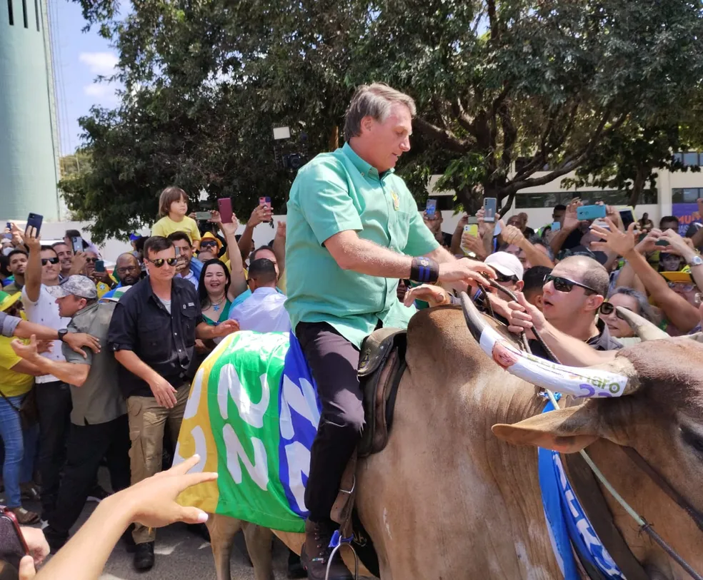 Bolsonaro monta em touro, faz comício e diz ganhar eleições no 1º turno (Foto: Reprodução/Emerson Rocha/g1)