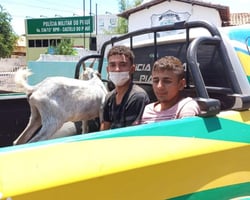 Dois jovens são presos furtando animais na zona rural de São João da Serra