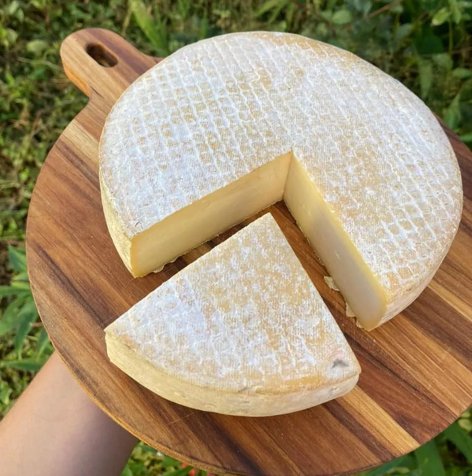 Queijo e bolachas 
