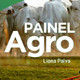 Painel Agro